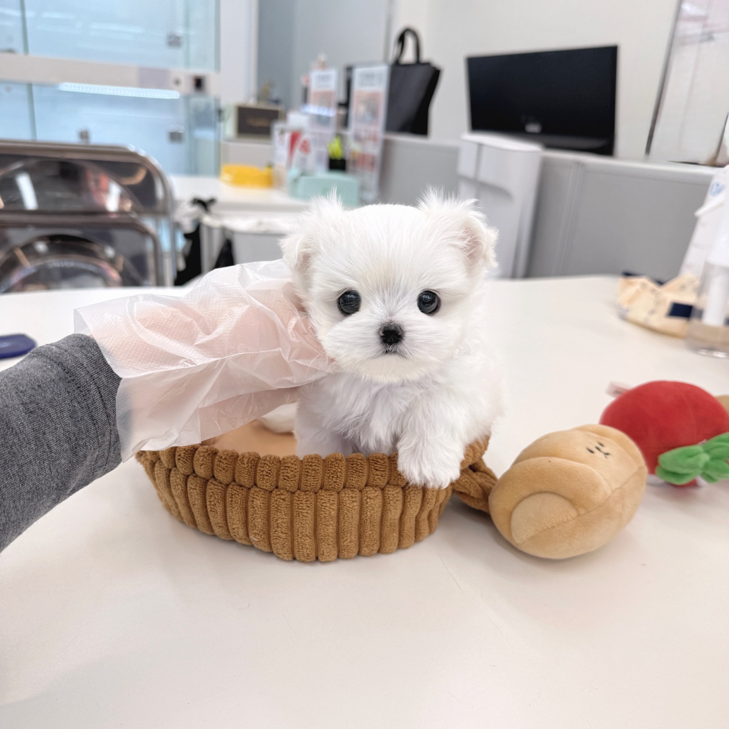 Ȯ�� �̹���