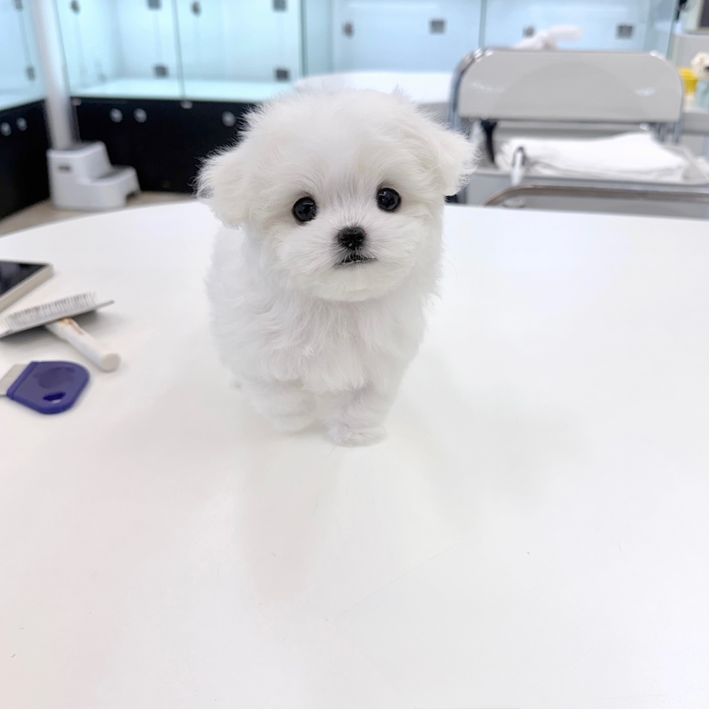 Ȯ�� �̹���