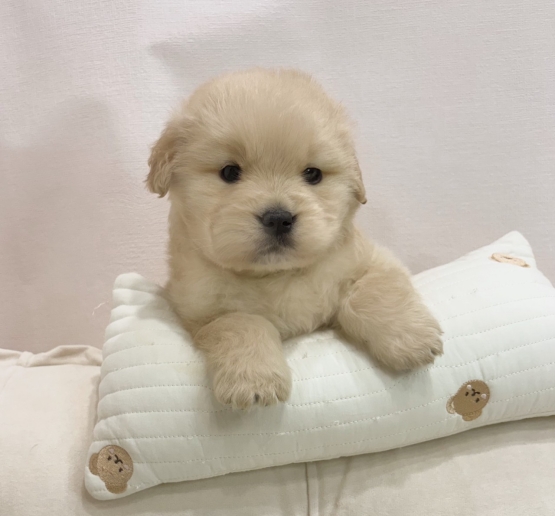 Ȯ�� �̹���