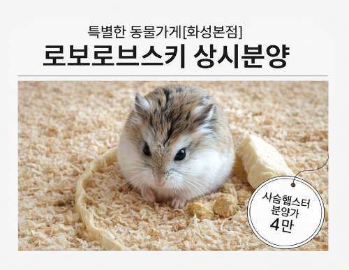 Ȯ�� �̹���