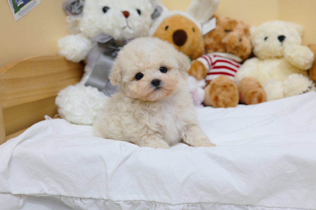 Ȯ�� �̹���