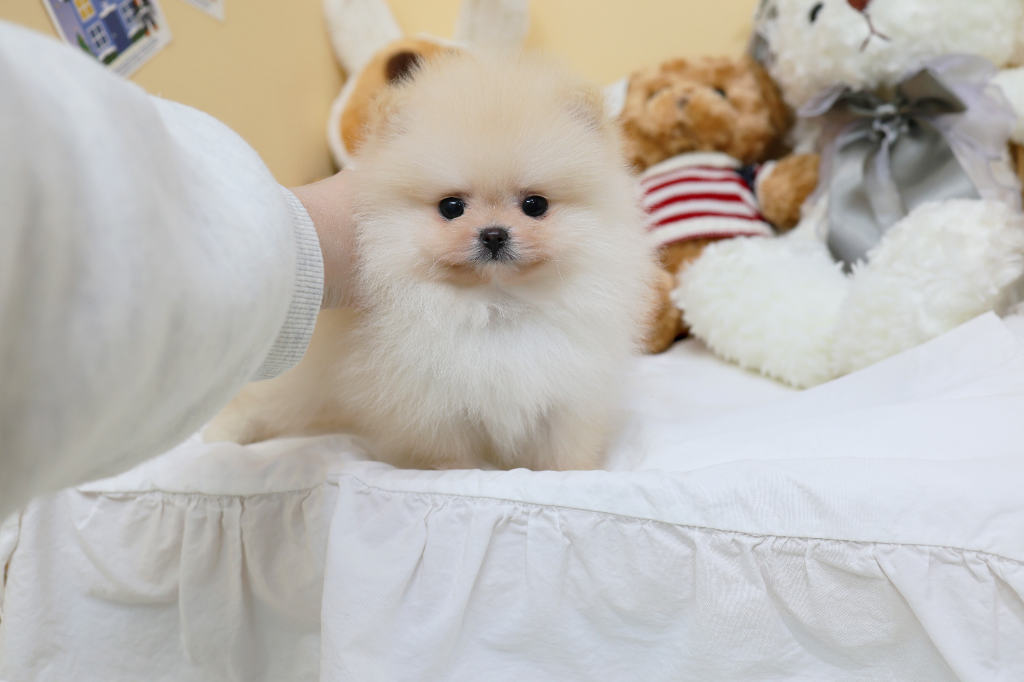 Ȯ�� �̹���