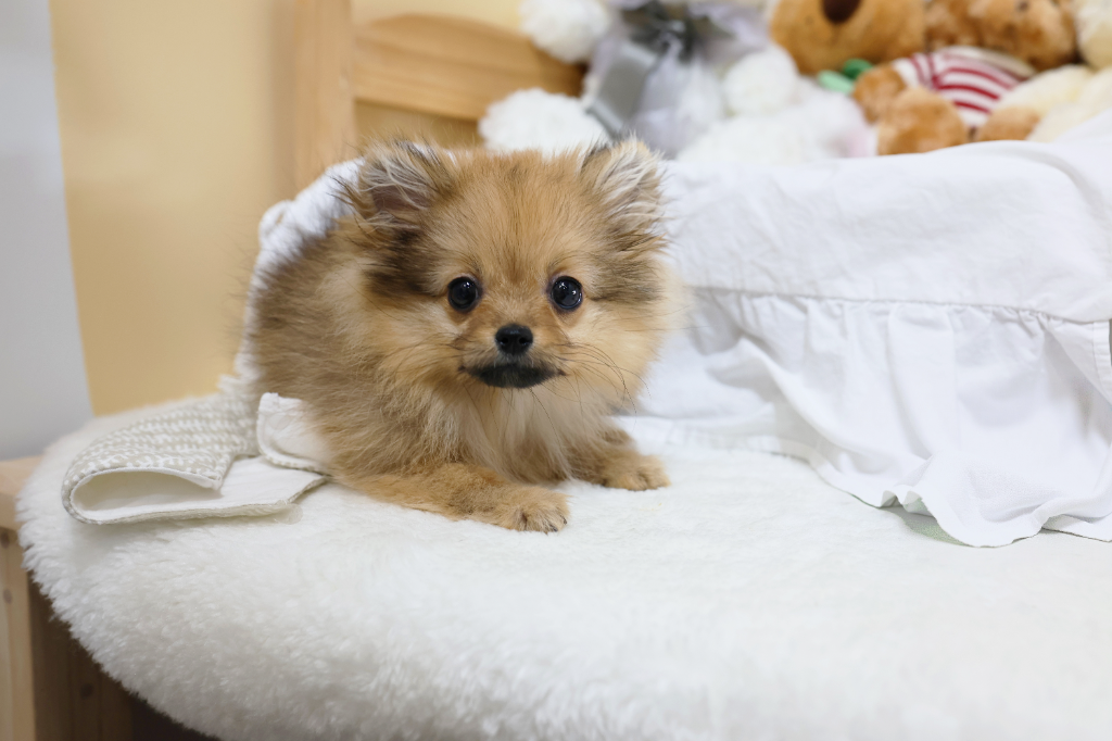 Ȯ�� �̹���