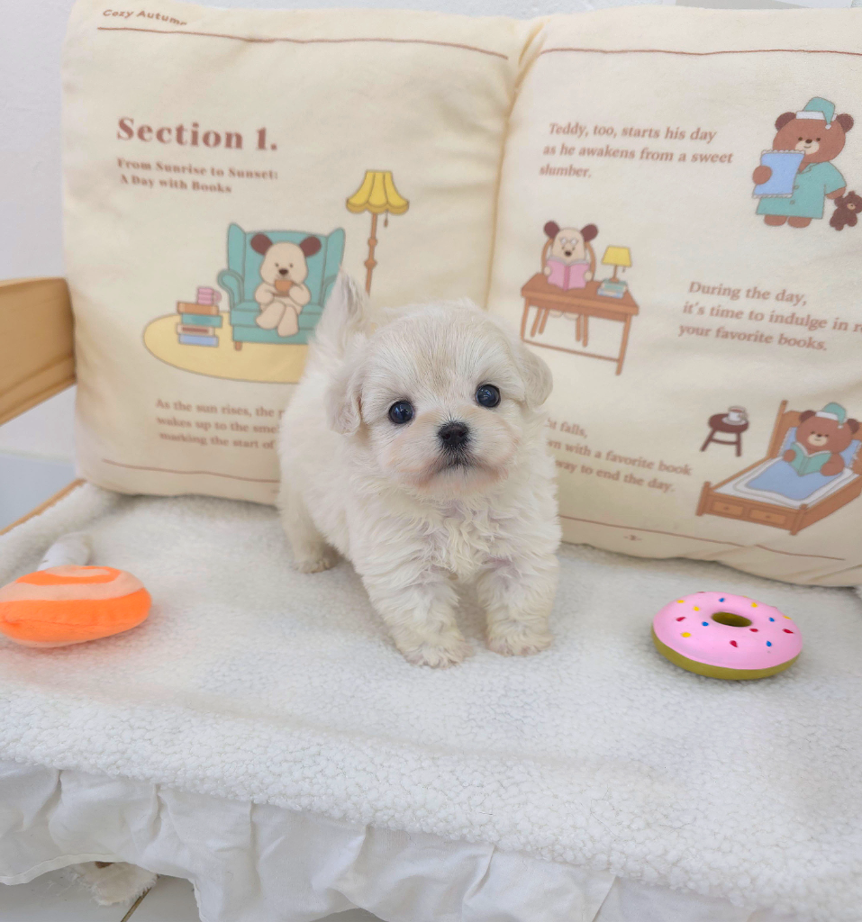 Ȯ�� �̹���