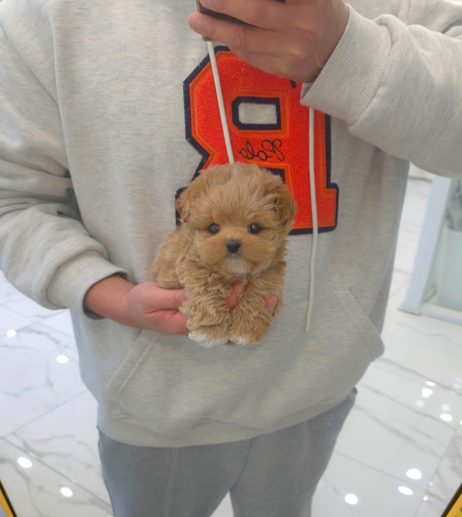 Ȯ�� �̹���