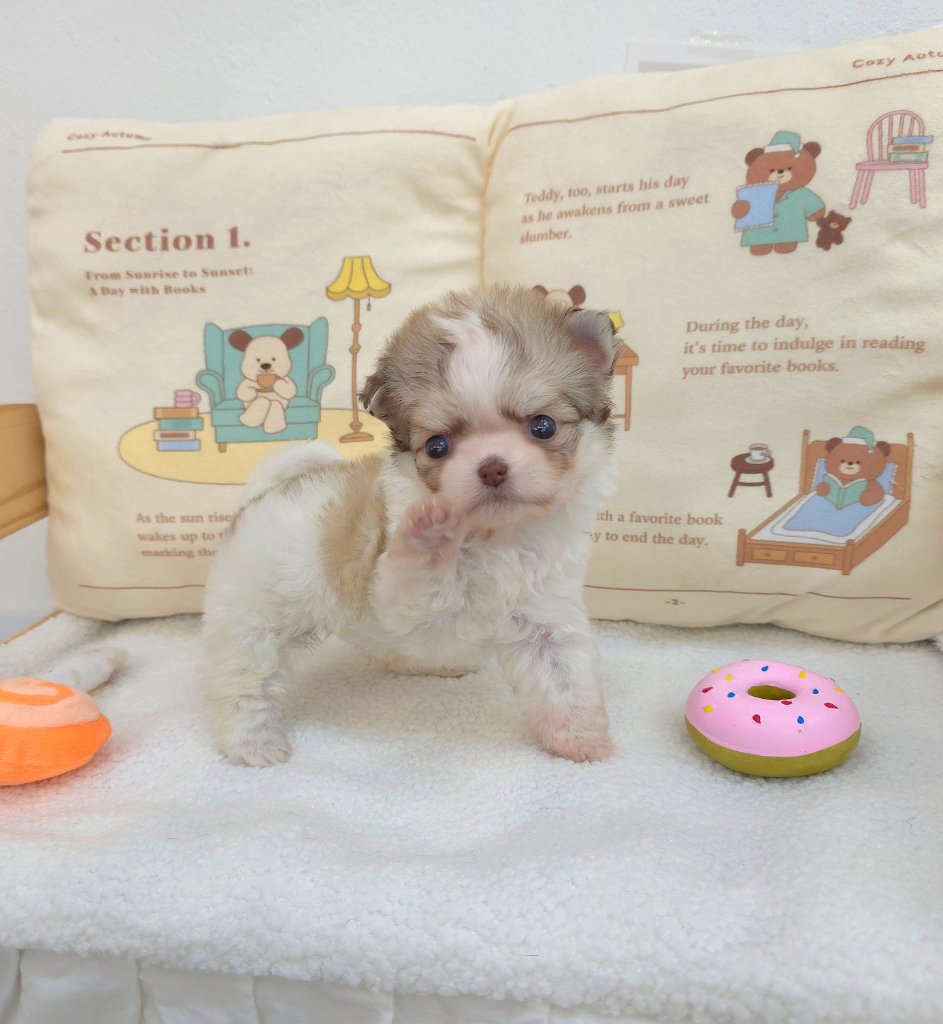 Ȯ�� �̹���