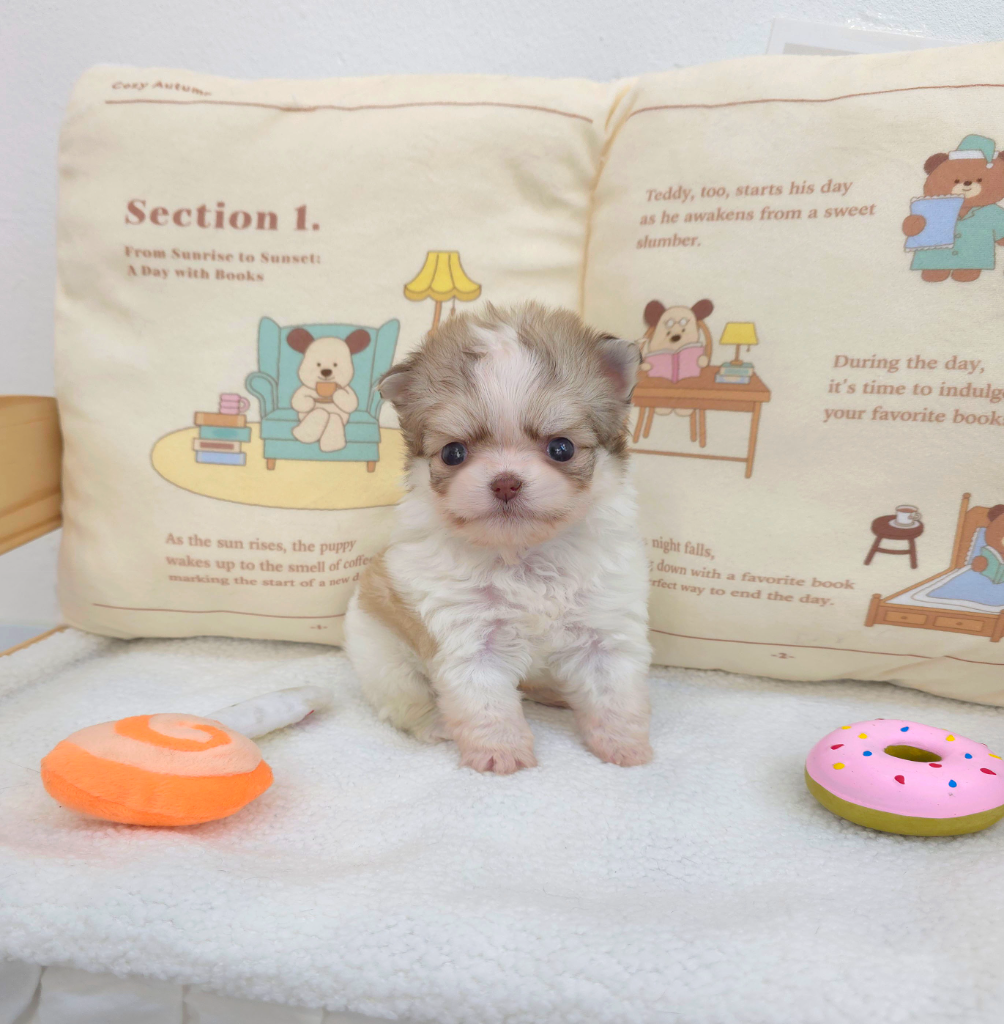 Ȯ�� �̹���