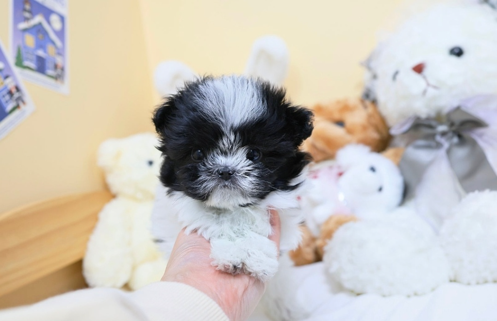 Ȯ�� �̹���