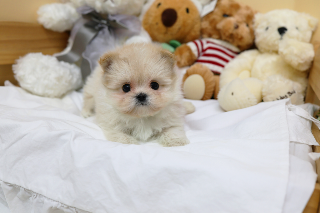 Ȯ�� �̹���