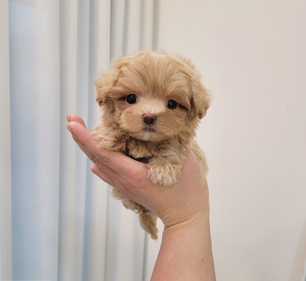 Ȯ�� �̹���