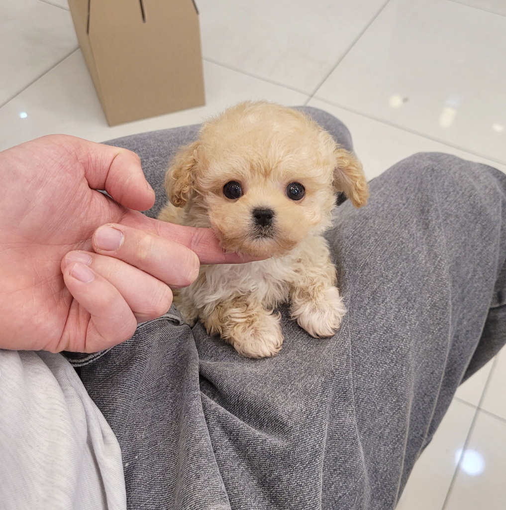 Ȯ�� �̹���