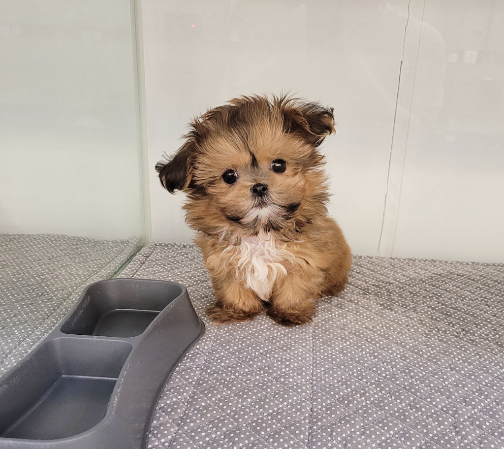 Ȯ�� �̹���