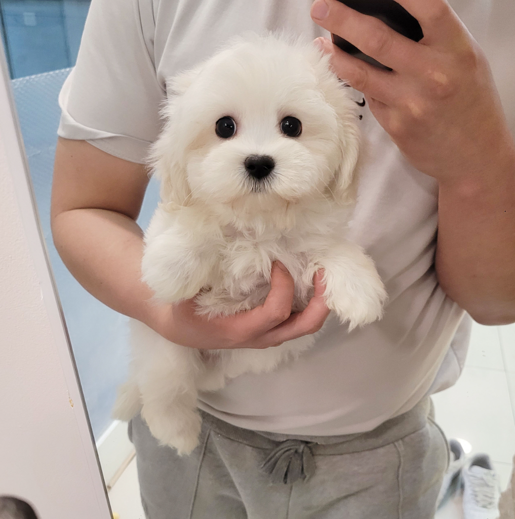 Ȯ�� �̹���