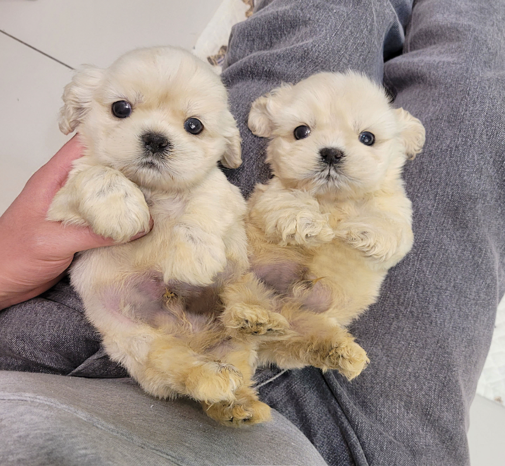 Ȯ�� �̹���