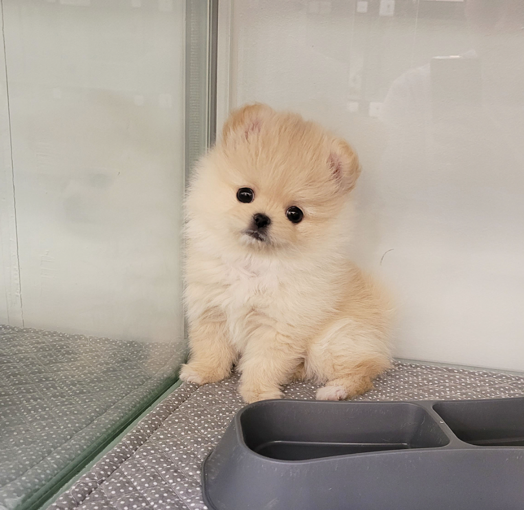 Ȯ�� �̹���