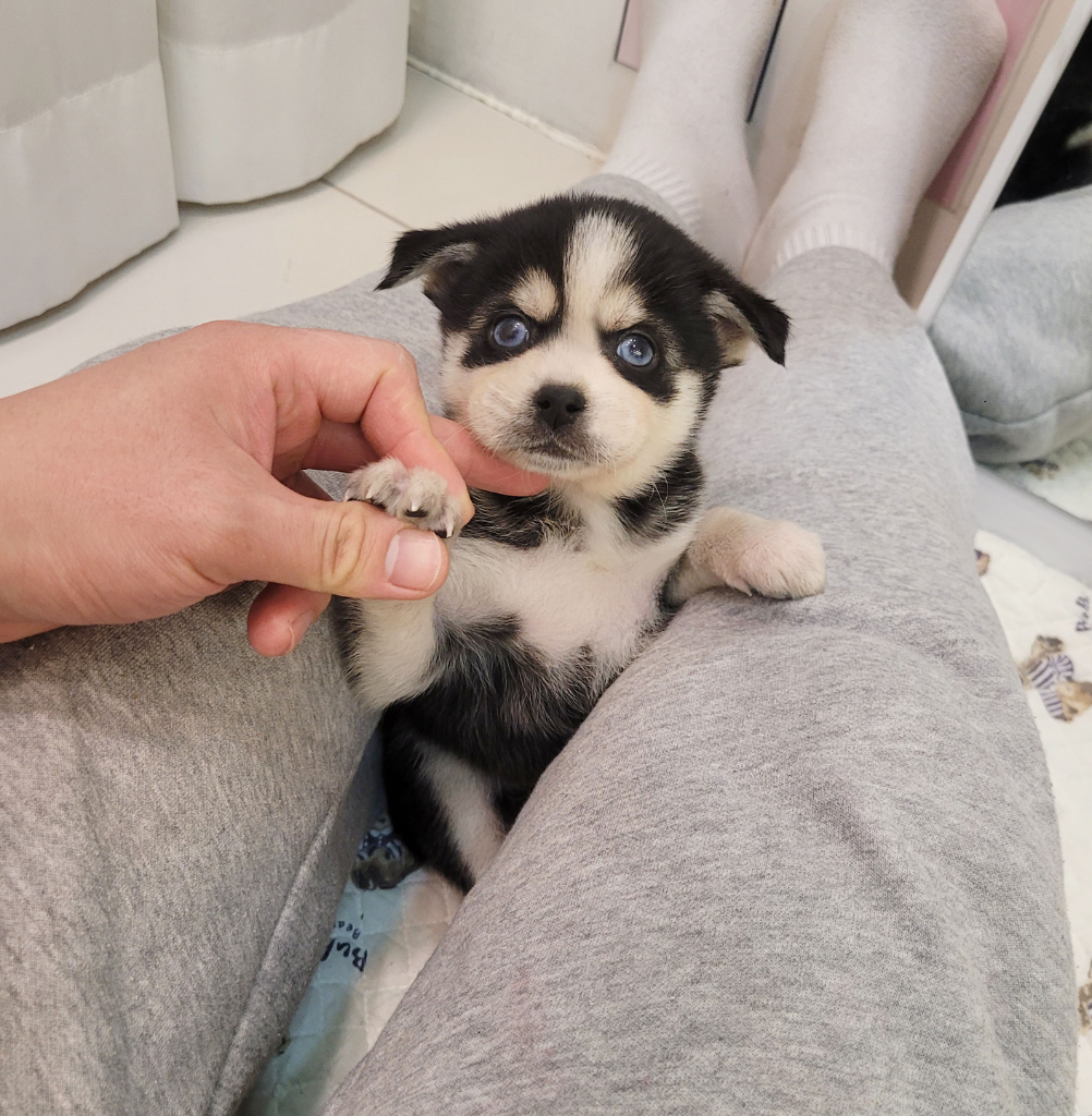 Ȯ�� �̹���