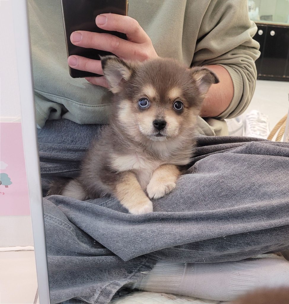 Ȯ�� �̹���