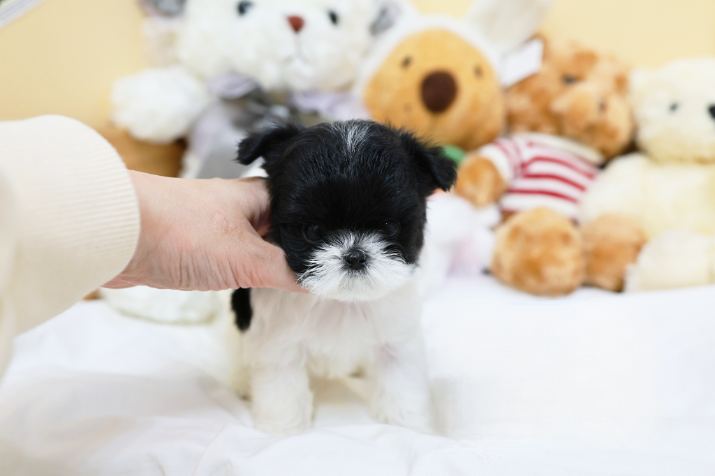 Ȯ�� �̹���