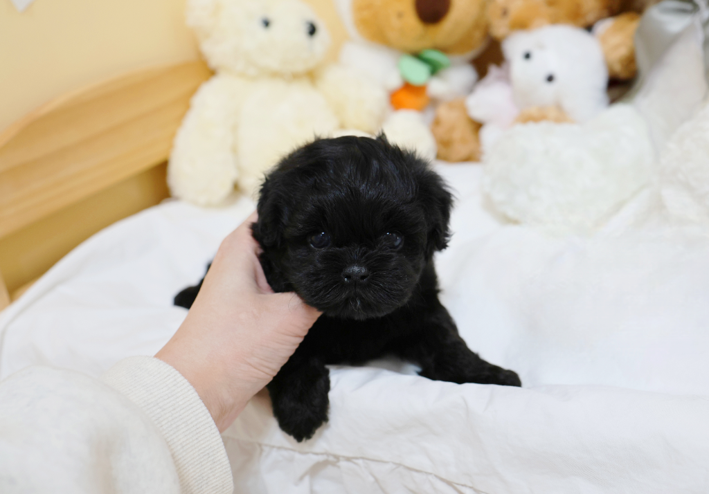 Ȯ�� �̹���