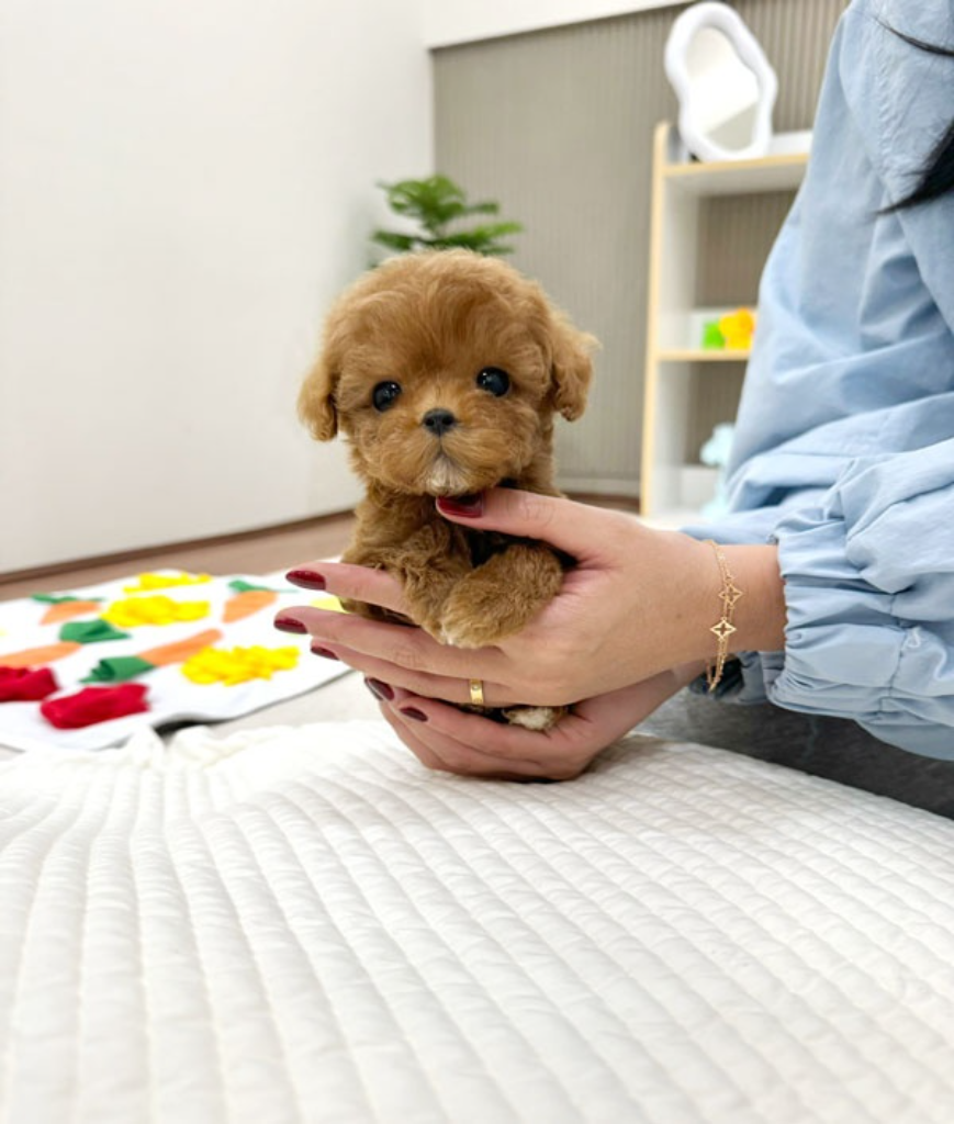 Ȯ�� �̹���