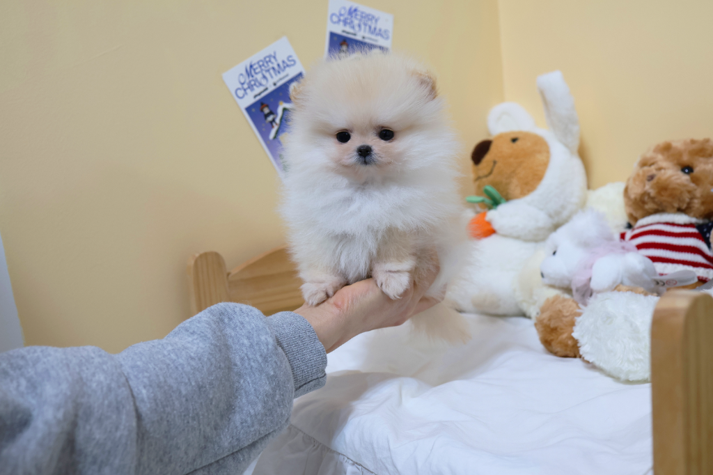 Ȯ�� �̹���