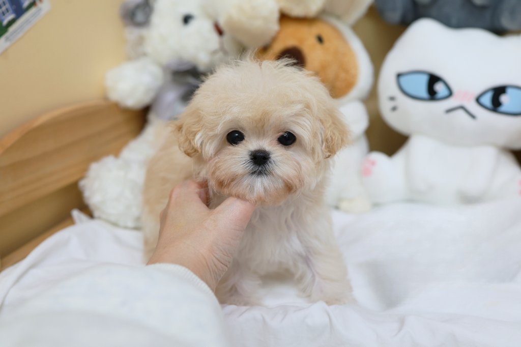 Ȯ�� �̹���